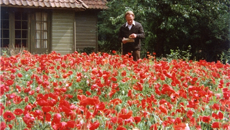 Image Film